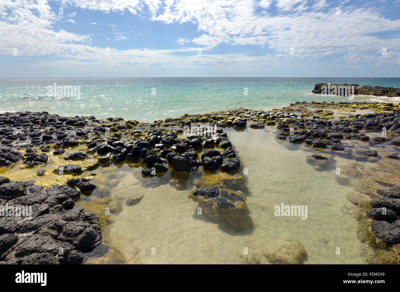 A clear rock pool on the basalt rock formations on the Back Beach near ...