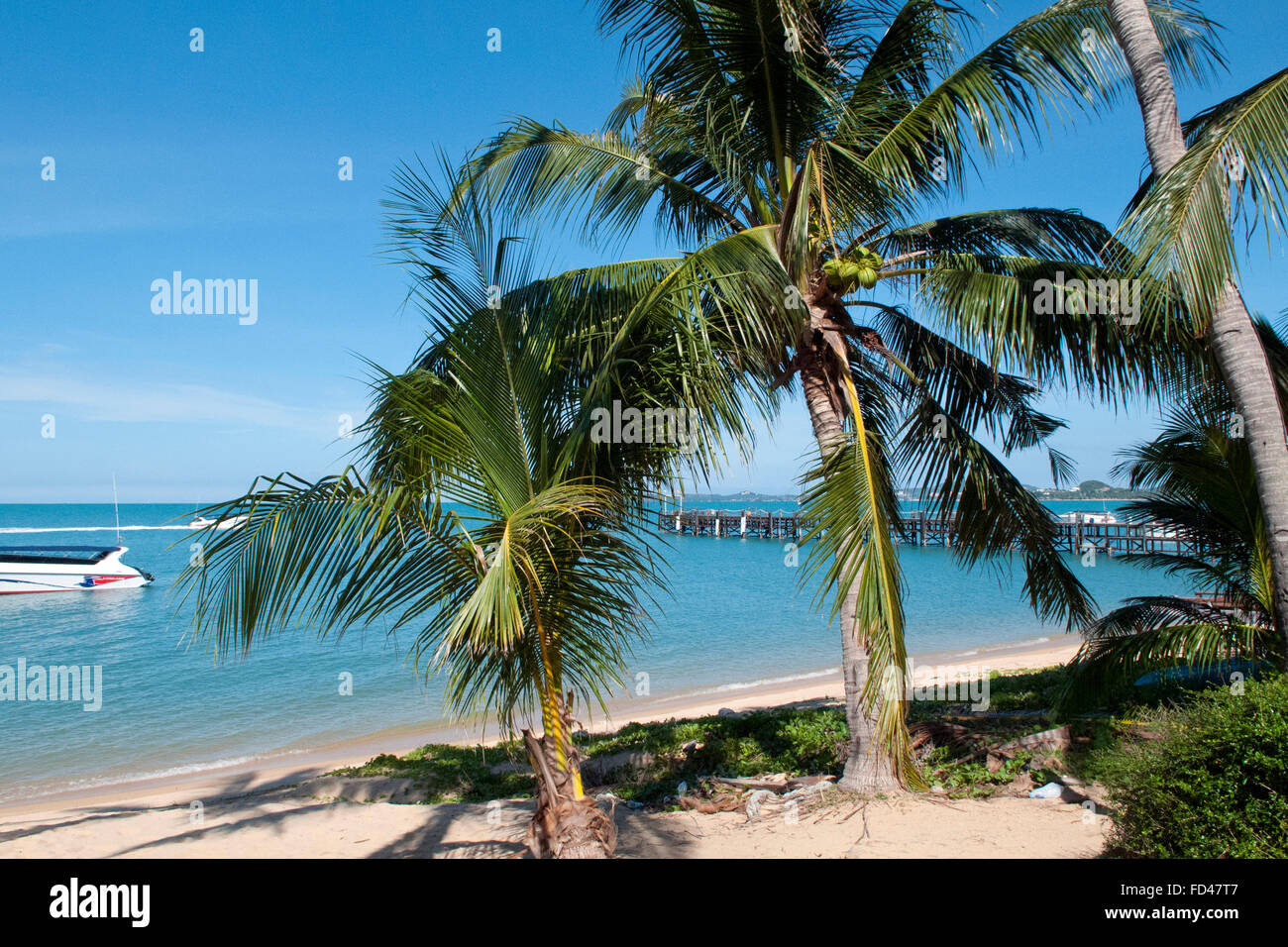 maenam beach, Koh Samui, Thailand Stock Photo