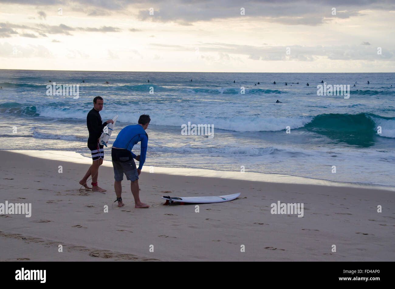 Board riders prepare to enter the water early in the morning at Bondi Beach in Sydney, Australia Stock Photo