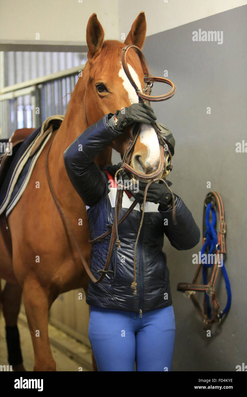 Horse riding school. Stock Photo