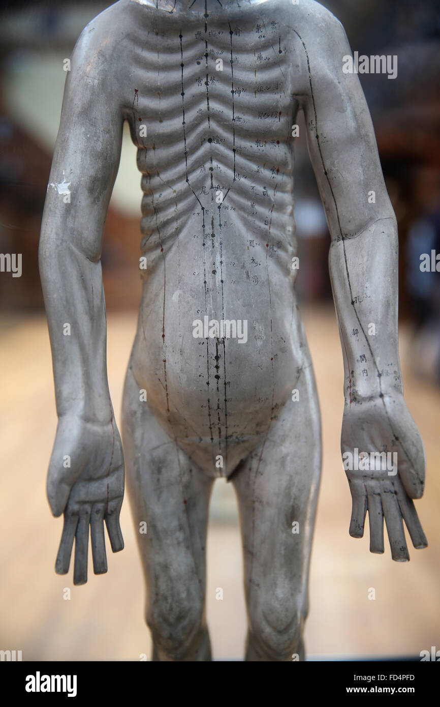 The History of Medicine Museum. Japanese acupuncture mannequin, brought to Paris by Isaac Titsingh. Stock Photo