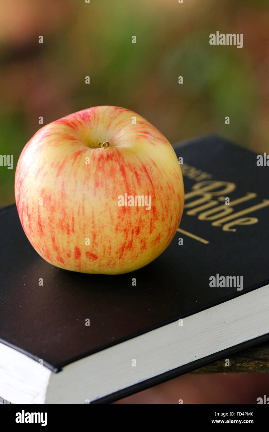 Apple and Holy Bible Stock Photo Alamy