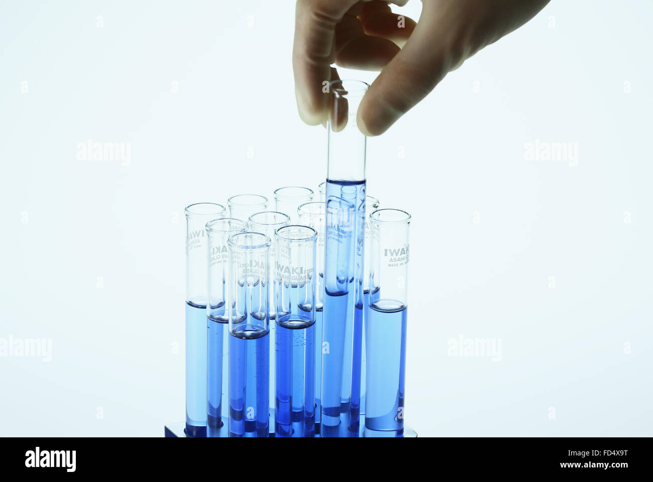 Scientist working in the lab Stock Photo