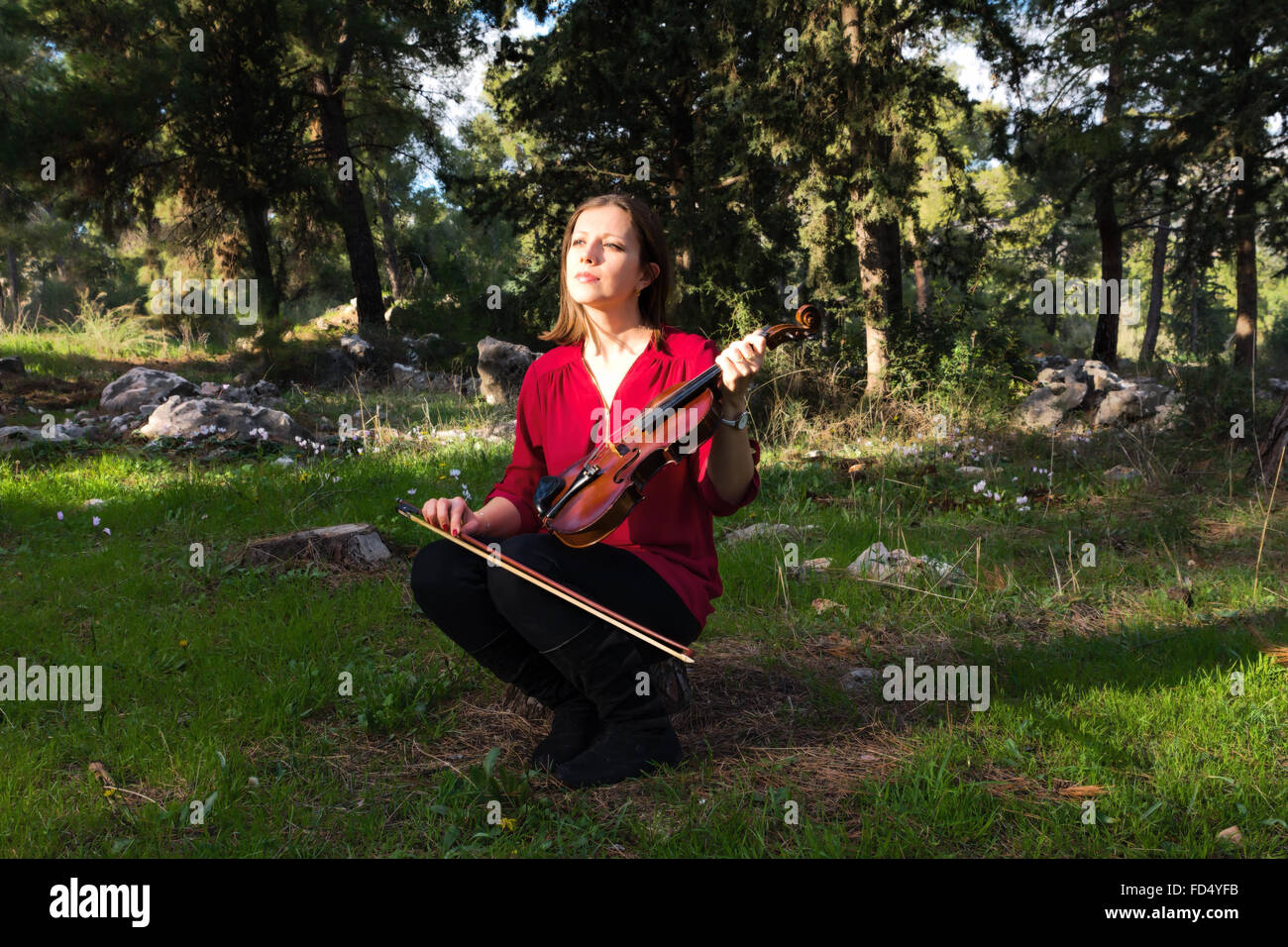 The girl with a violin sitting on a stump in the forest Stock Photo - Alamy