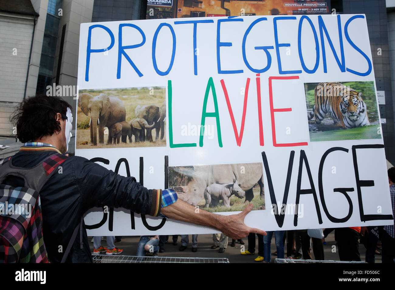 Global march for elephant and rhinos. World animal day. Stock Photo