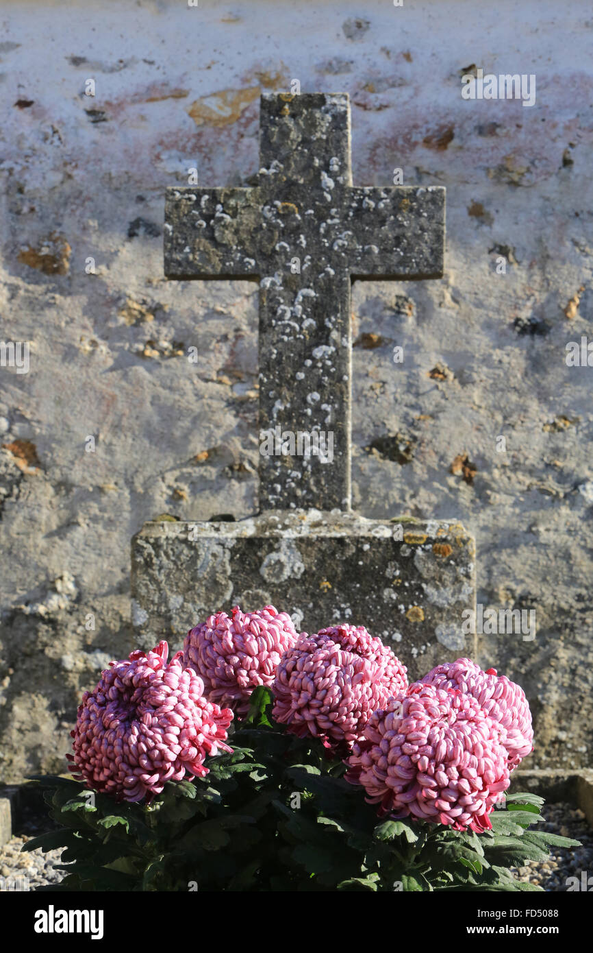 Flowers on a grave Stock Photo Alamy