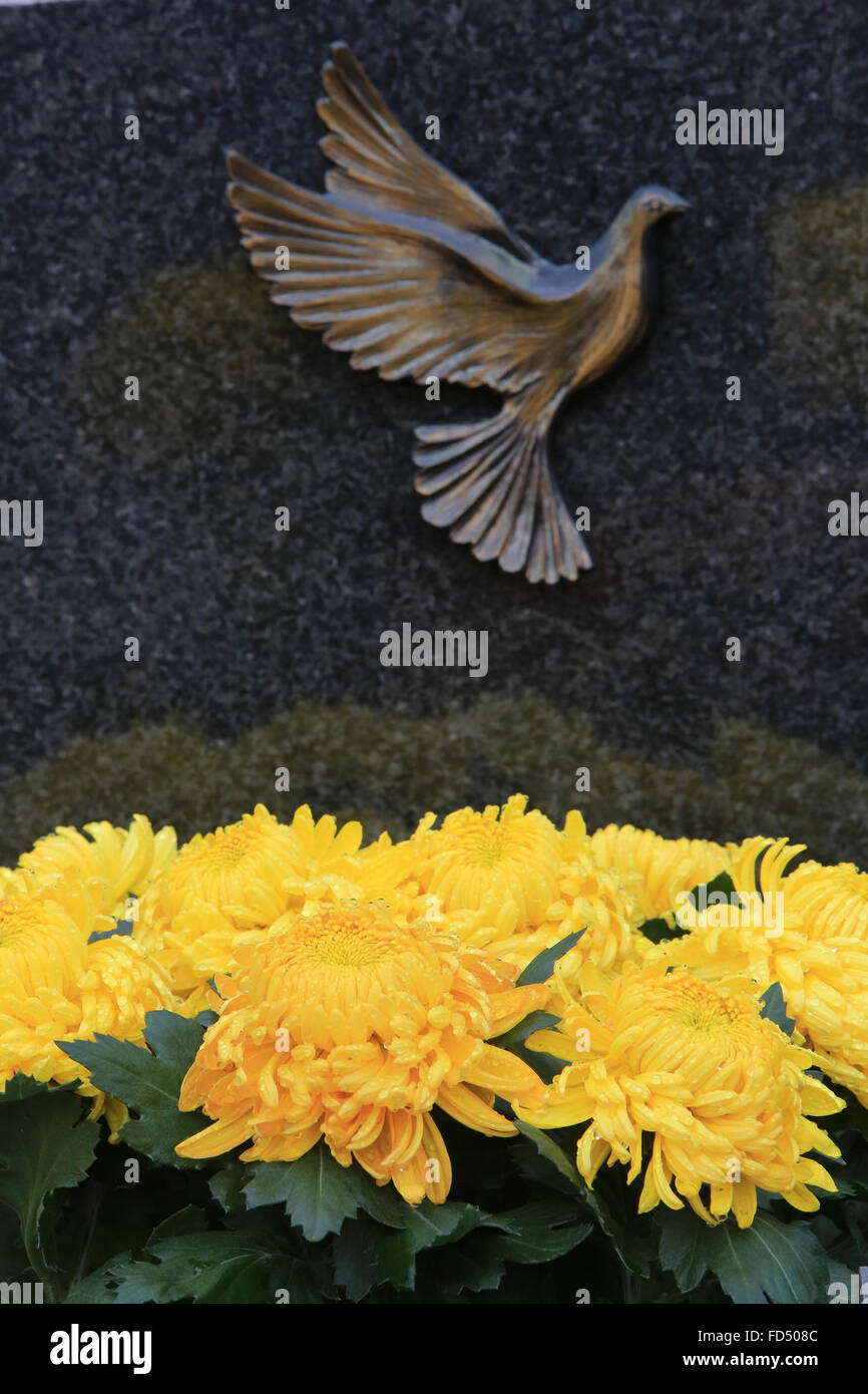 Chrysanthemums on a grave Stock Photo Alamy