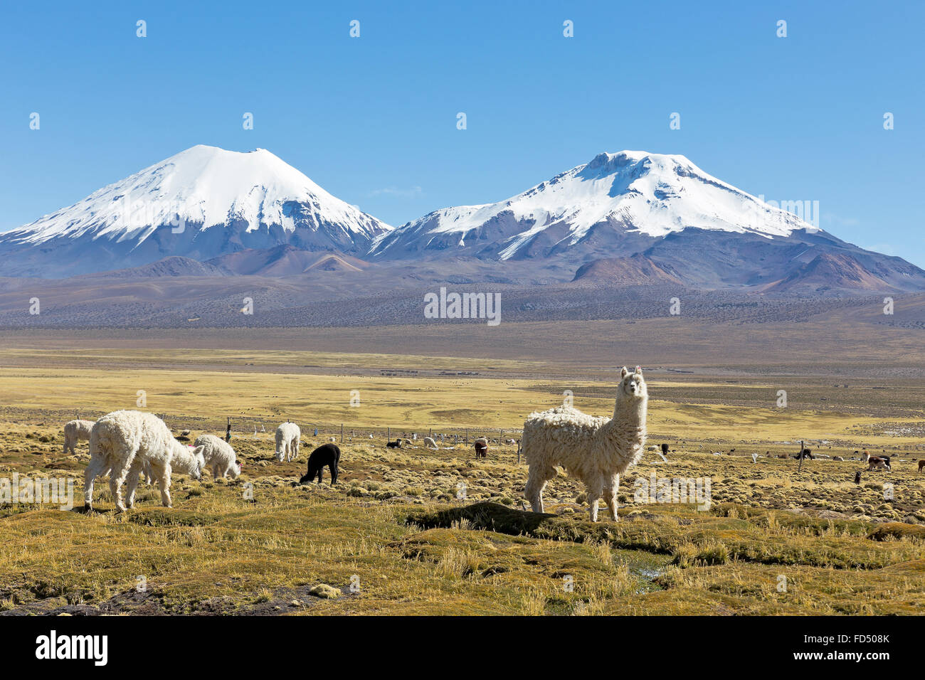 landscape of the Andes Mountains, with snow-covered volcano in the ...
