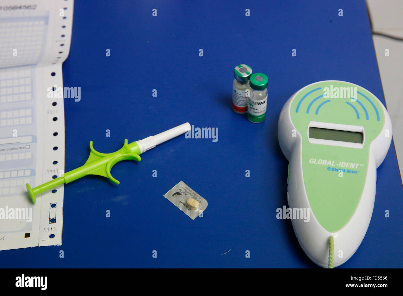 Veterinarian's surgery. ID chip. Stock Photo