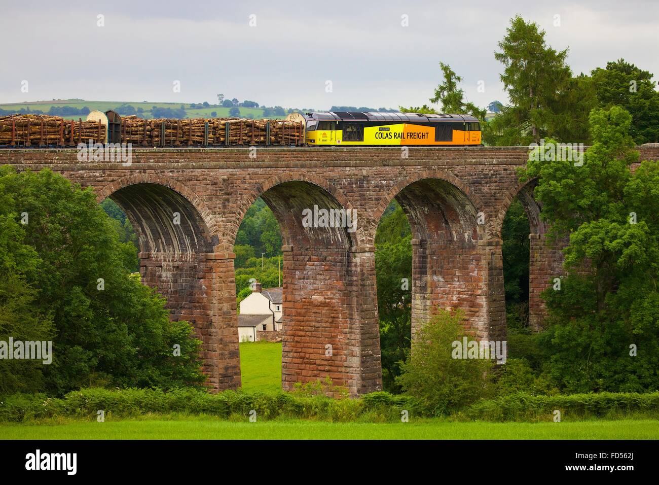 Colas Rail Freight train hauling logs on Dry Beck Viaduct, Armathwaite, Eden Valley, Cumbria, England, UK. Stock Photo