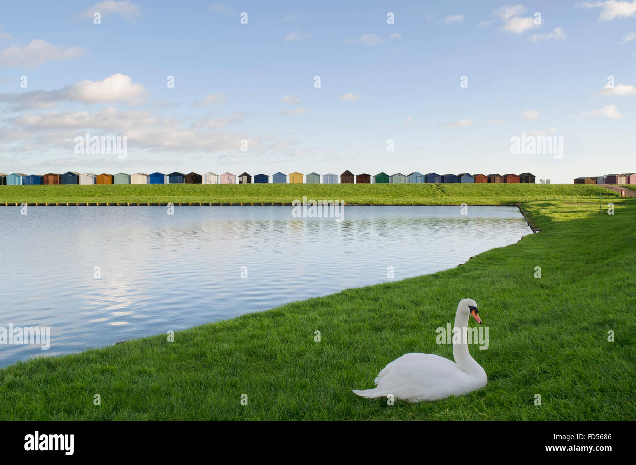 Dovercourt beach huts, Dovercourt, Essex, near Harwich, uk, between