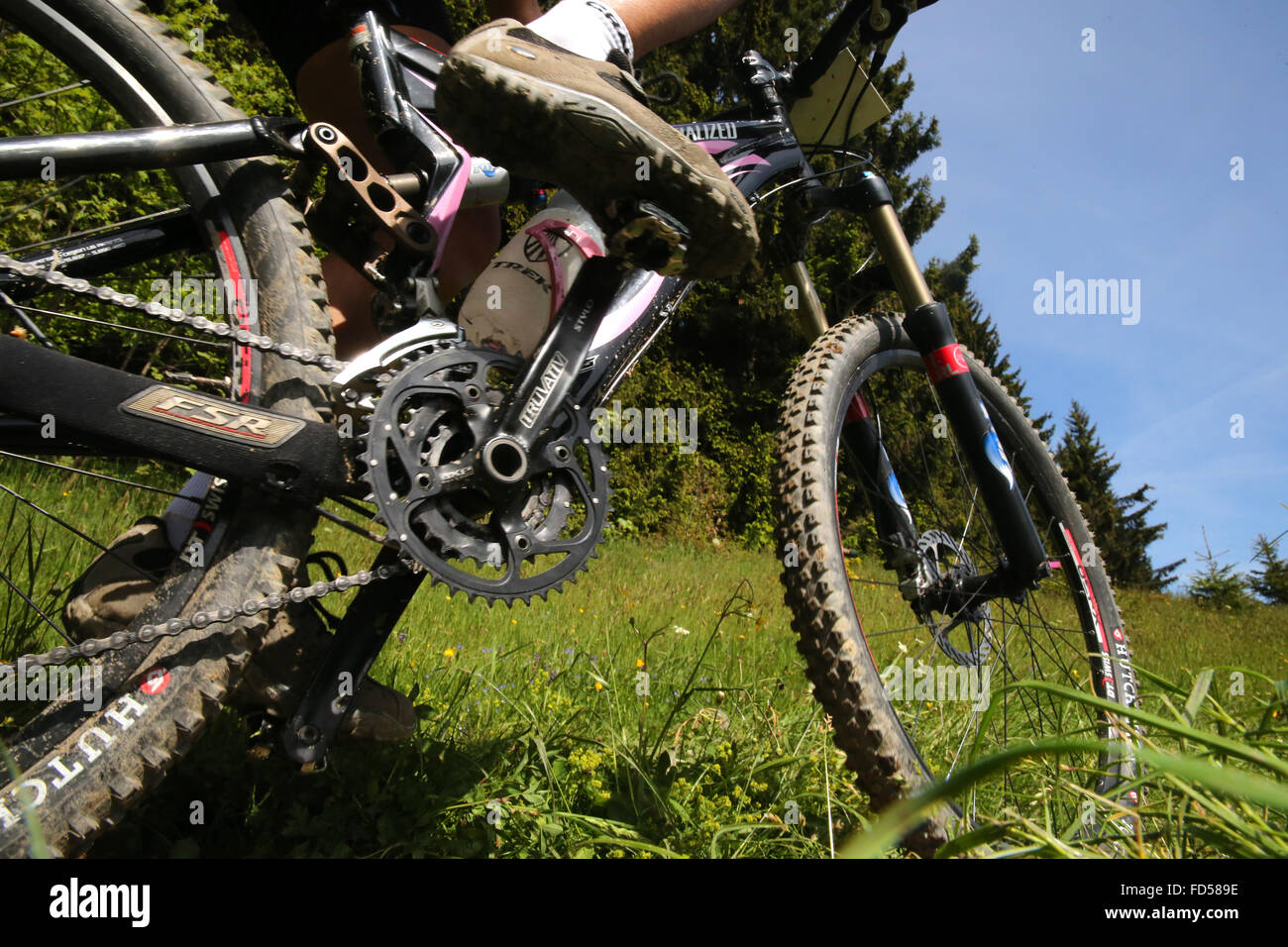 Dre Dans le l'Darbon : mountain bike race in the french Alps. Stock Photo