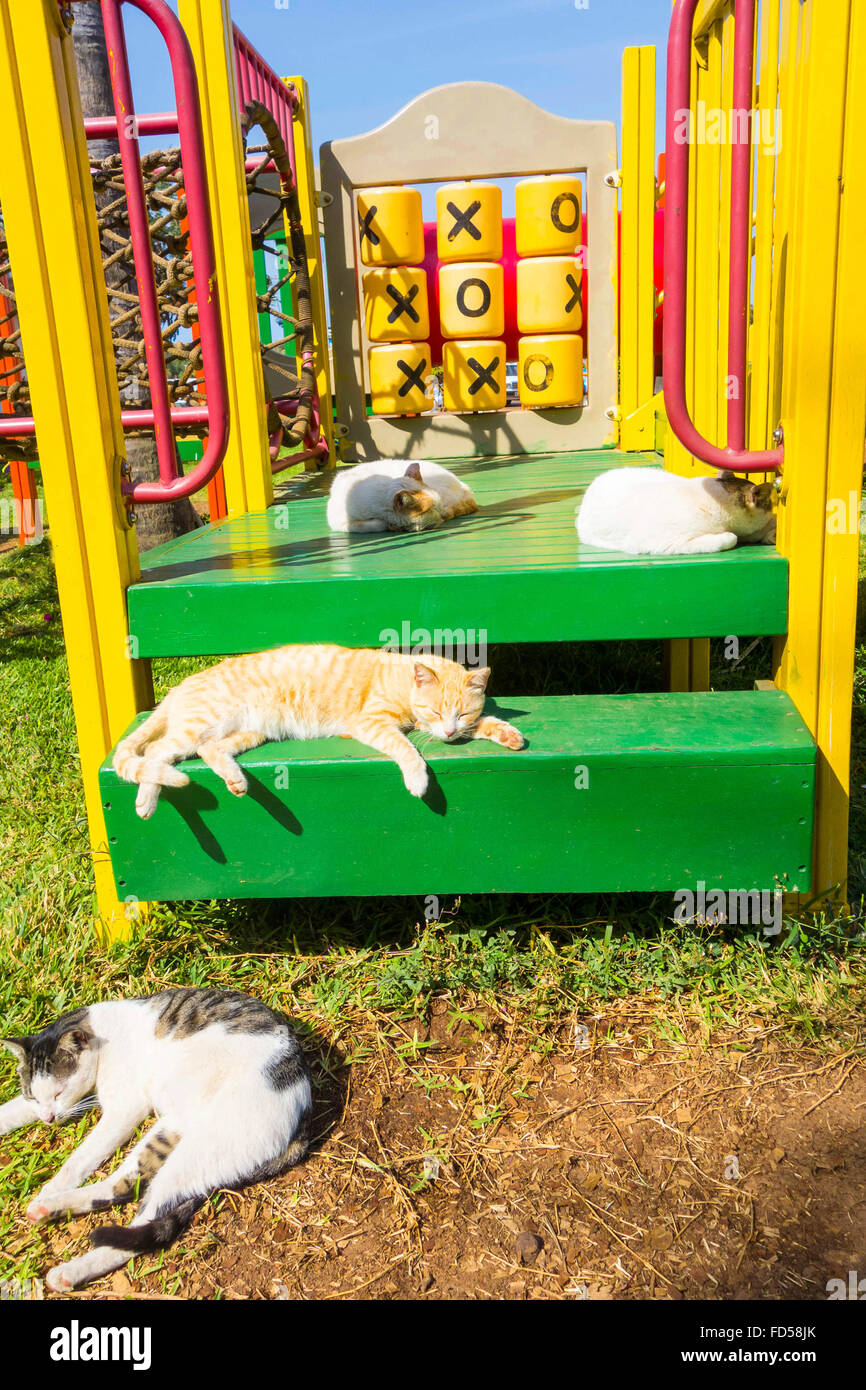 Cute sleeping area hires stock photography and images Alamy