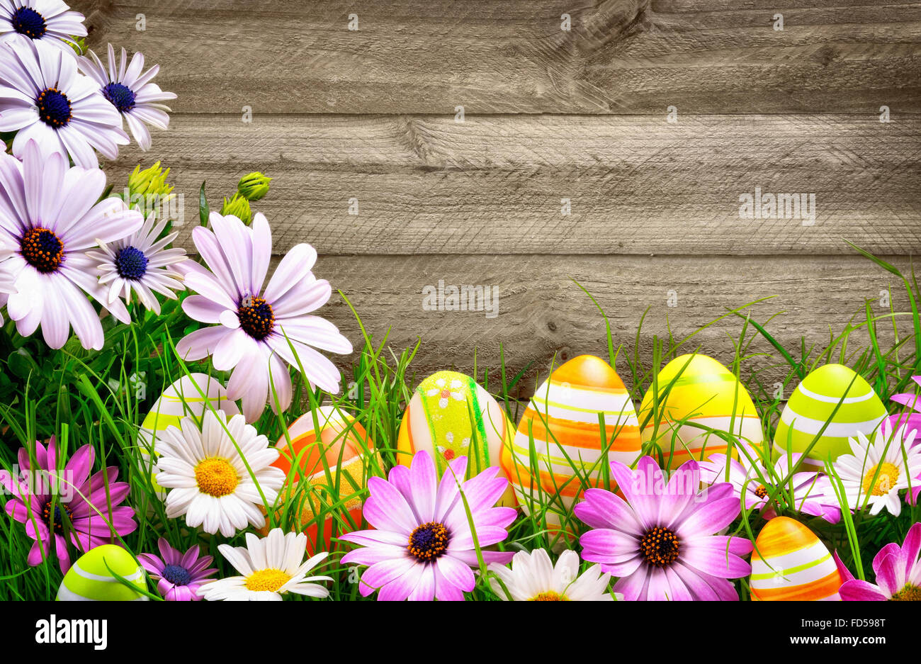 Spring flowers and happy colorful Easter eggs with rustic wood planks in the background Stock Photo
