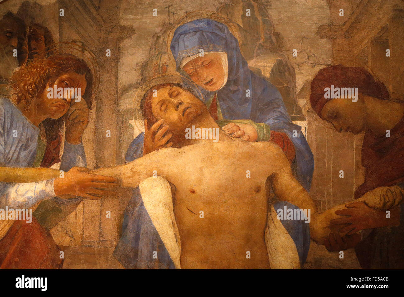 Brera gallery, Milan. Lament around Dead Christ. Bartolomeo Suardi called Bramantino, c. 1498-1500. Stock Photo