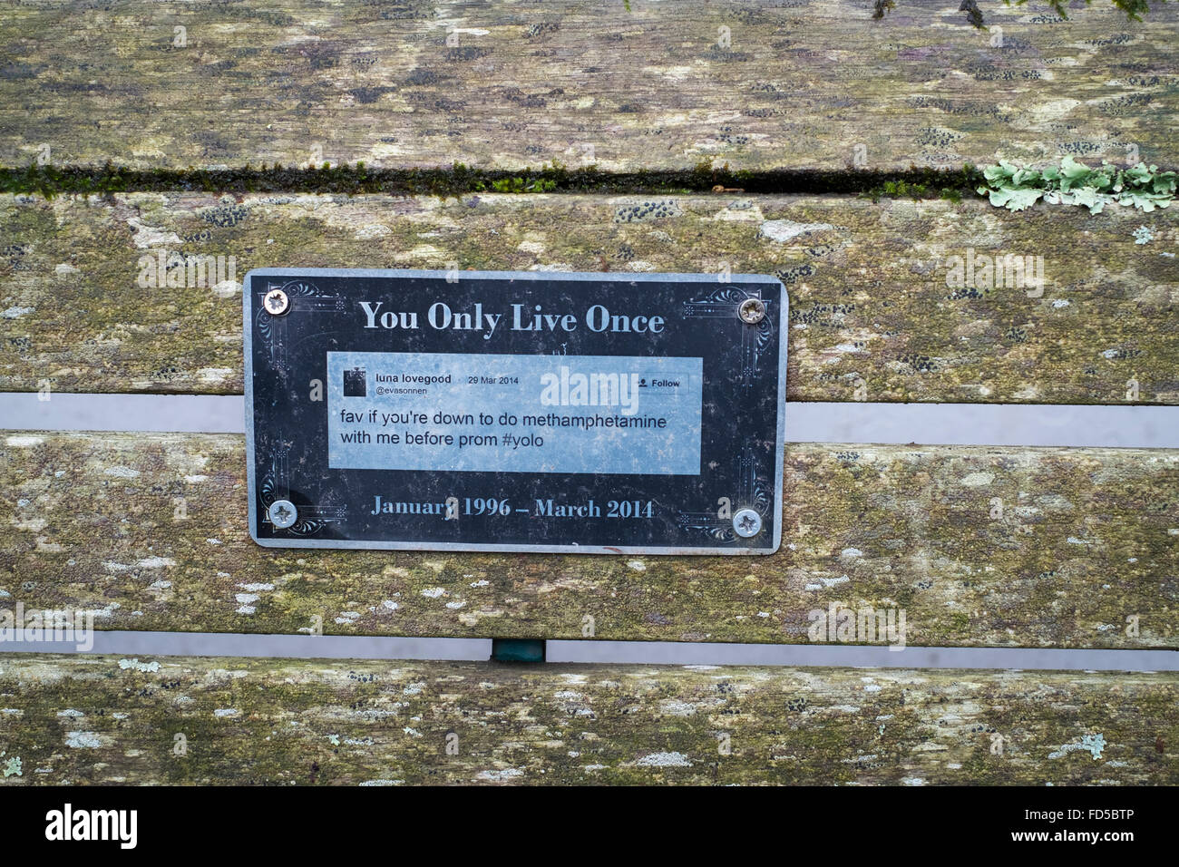 A plaque on a wooden bench acting as both a tribute and a warning to others of the dangers of drugs at Falmouth University Stock Photo