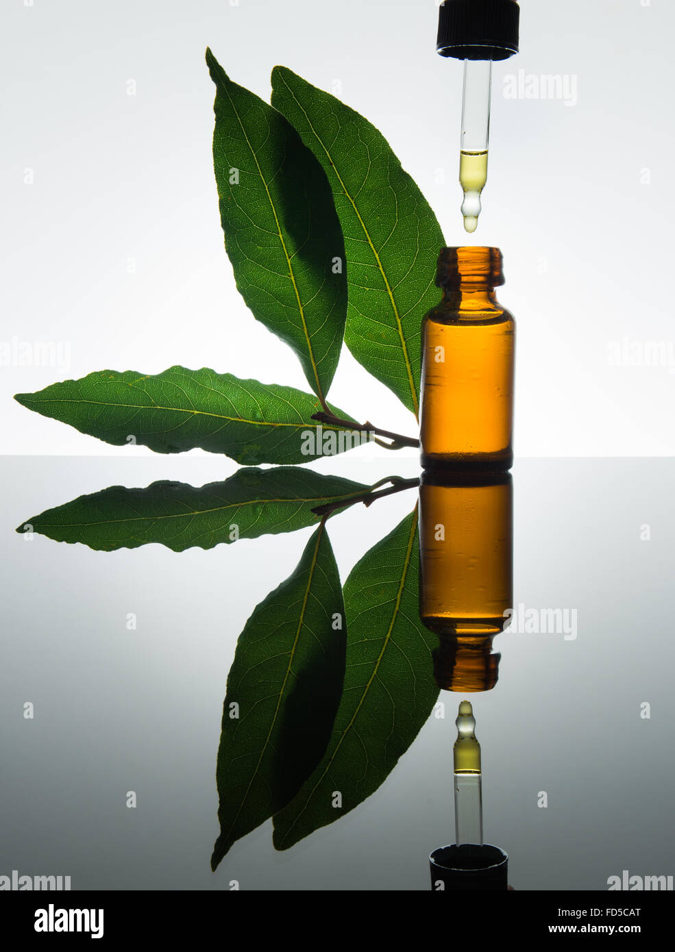 Bay essential oil, bay oil, bay essence, bay leaves, amber glass bottle, dropper Stock Photo