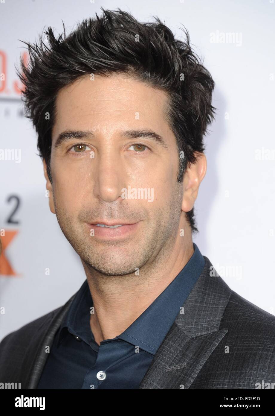 Los Angeles, CA, USA. 27th Jan, 2016. David Schwimmer at arrivals for  AMERICAN CRIME STORY: THE PEOPLE VS O. J. SIMPSON Premiere on FX, The  Regency Village Theatre, Los Angeles, CA January