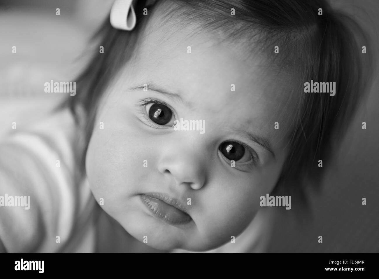 closeup black and white portrait of a sweet baby girl. Stock Photo