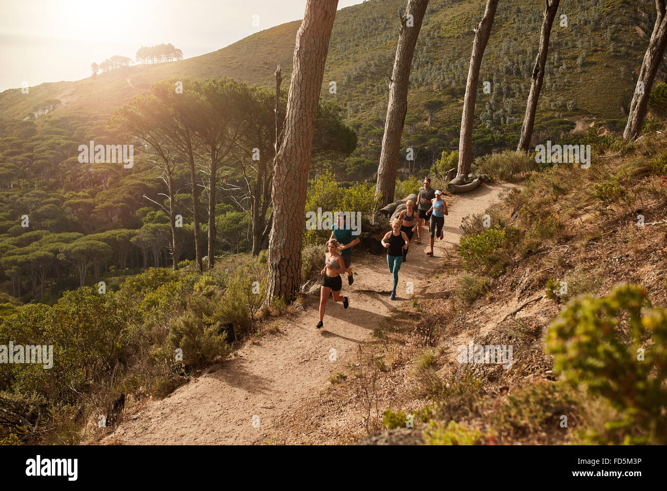 High angle view of running club group training on mountain trails. Group of fit athletes running on mountain path. Stock Photo
