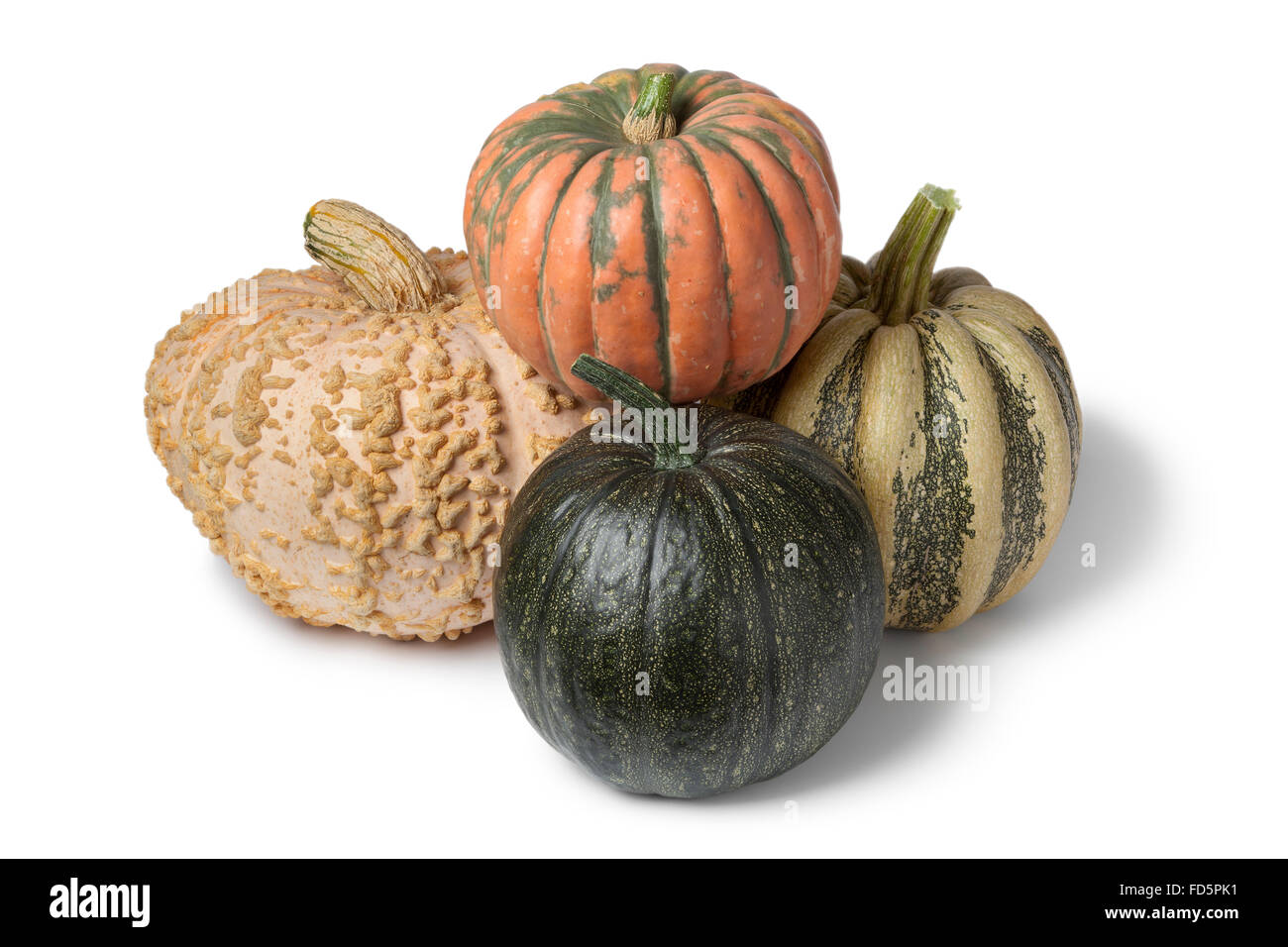 Variety of fresh whole pumpkins on white background Stock Photo - Alamy