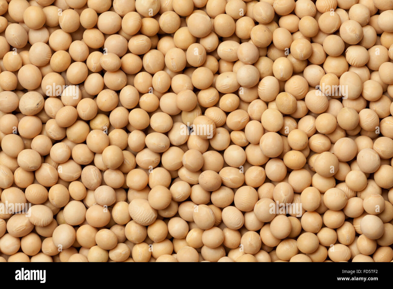 Dried soybeans full frame Stock Photo Alamy