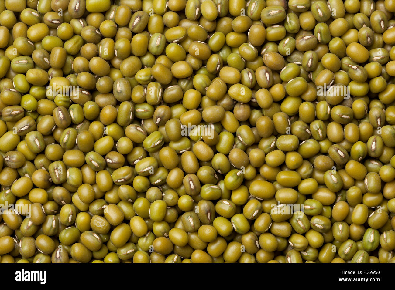 Dried green Mung beans full frame Stock Photo