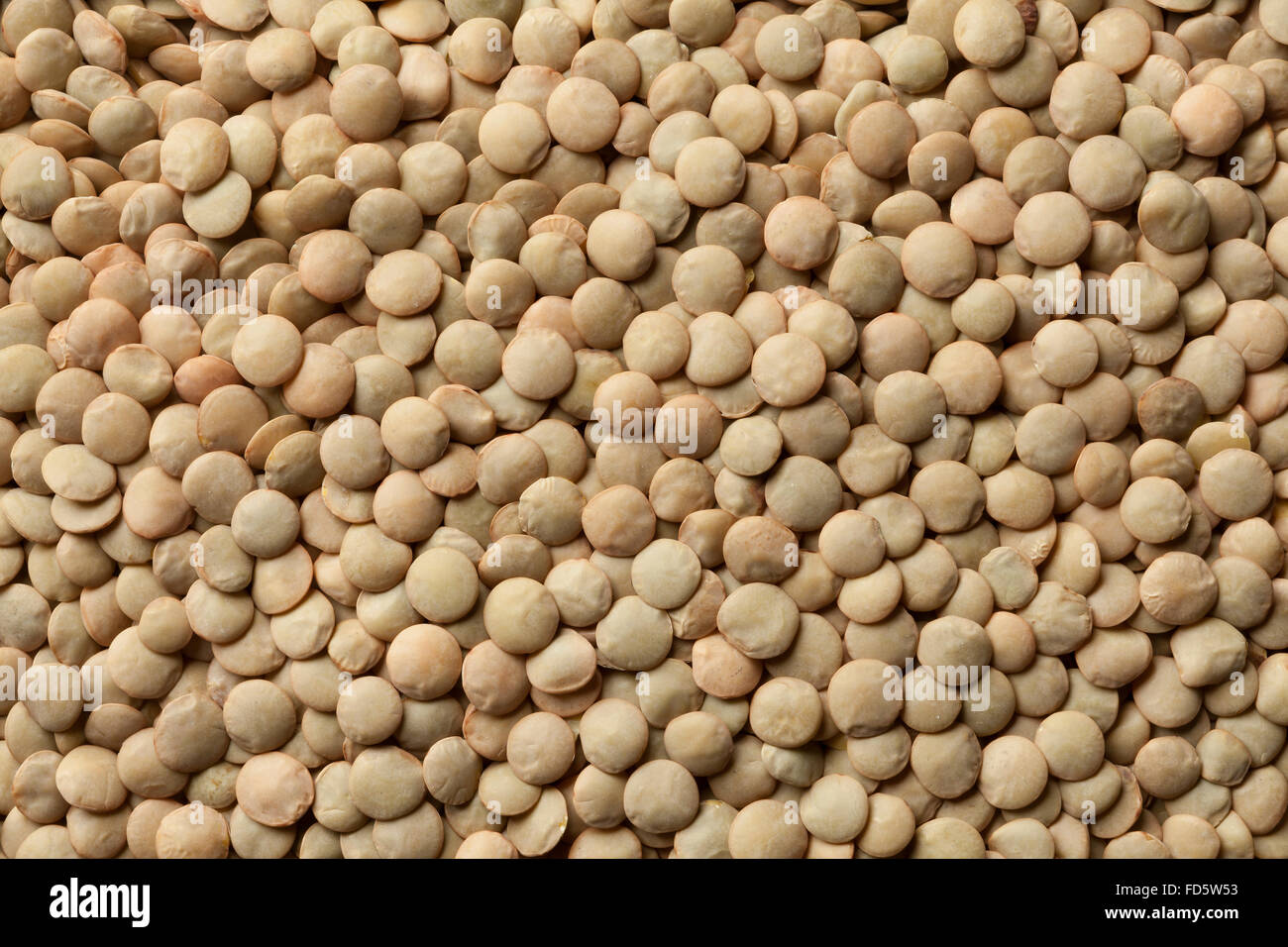 Dried brown lentils full frame Stock Photo