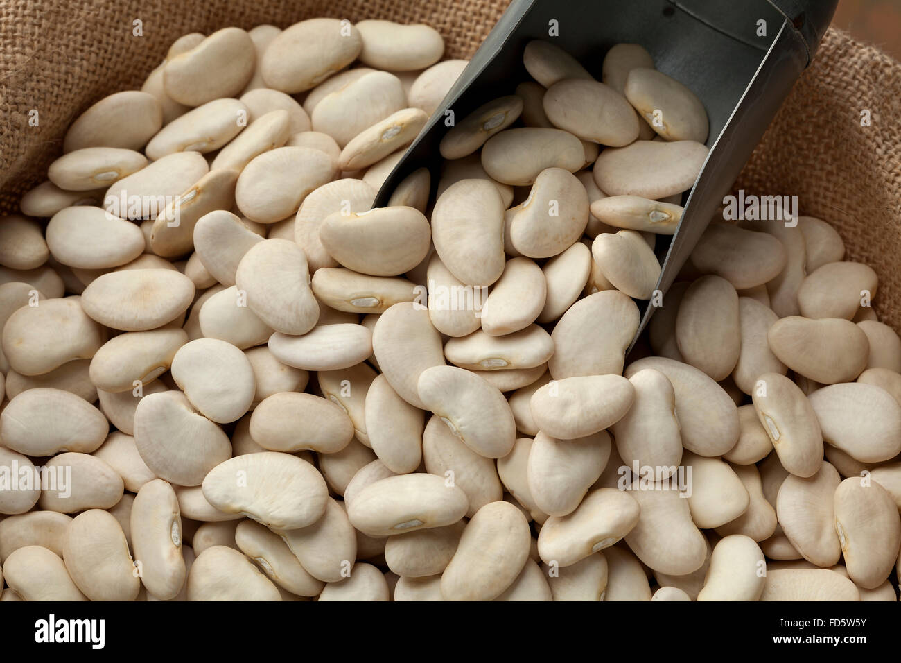 Lima beans hires stock photography and images Alamy