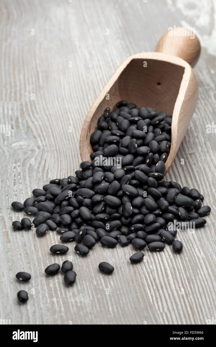 Black turtle hires stock photography and images Alamy