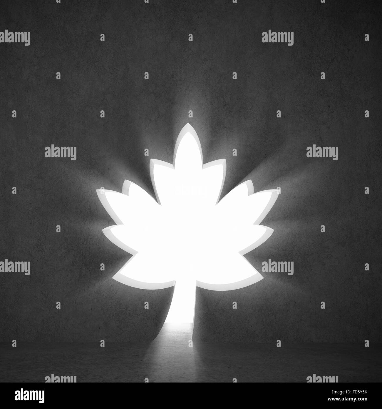 Maple leaf outline Black and White Stock Photos & Images - Alamy