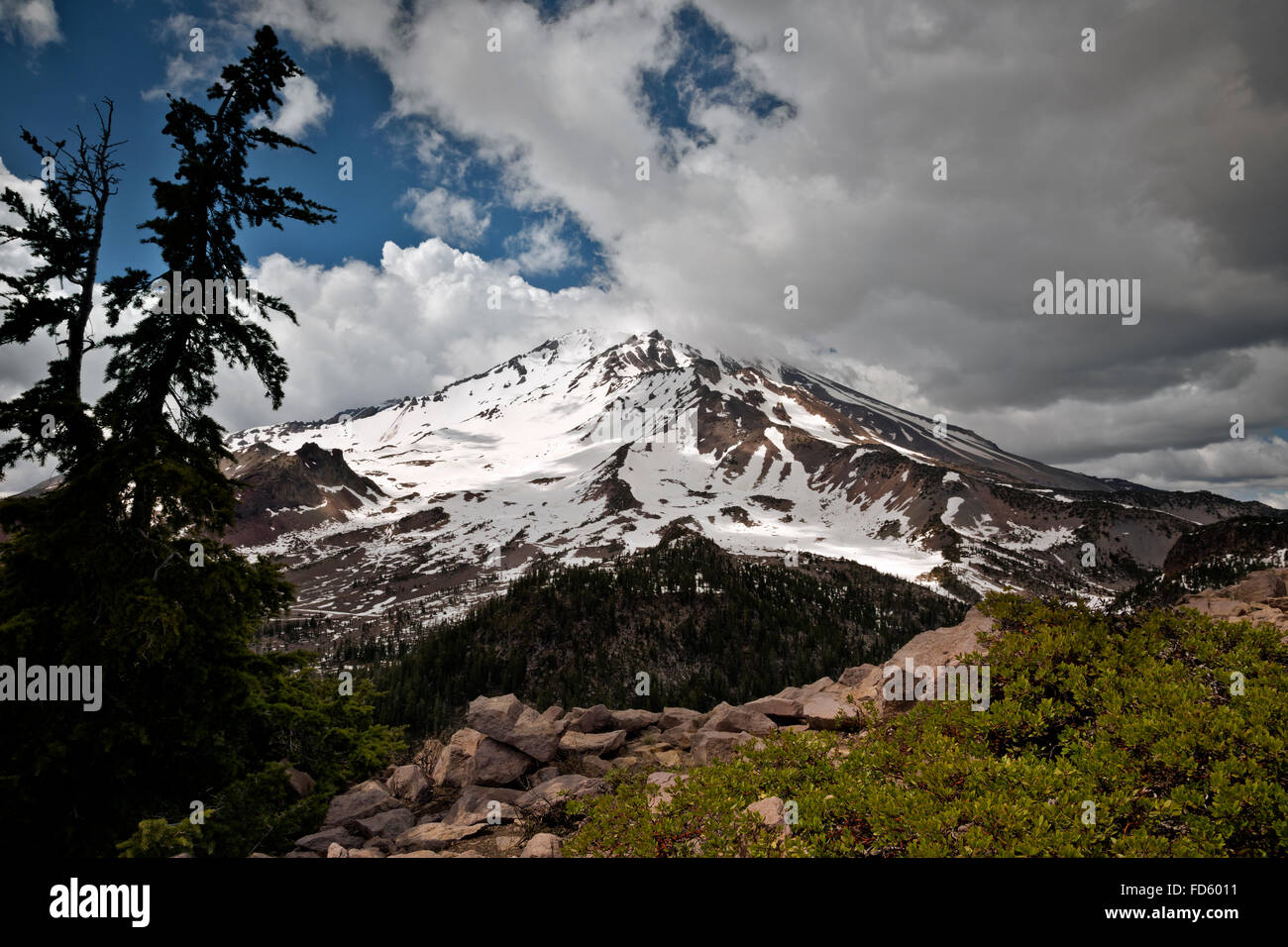 CALIFORNIA Mount Shasta viewed from Gray Butte at the southern end of