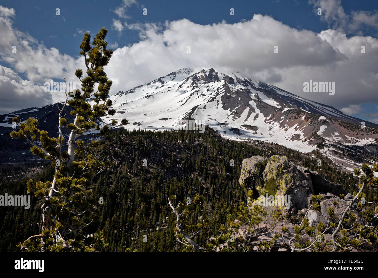 CALIFORNIA Mount Shasta viewed from Gray Butte at the southern end of