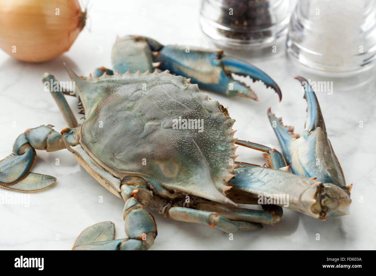 Fresh single blue crab ready to cook Stock Photo