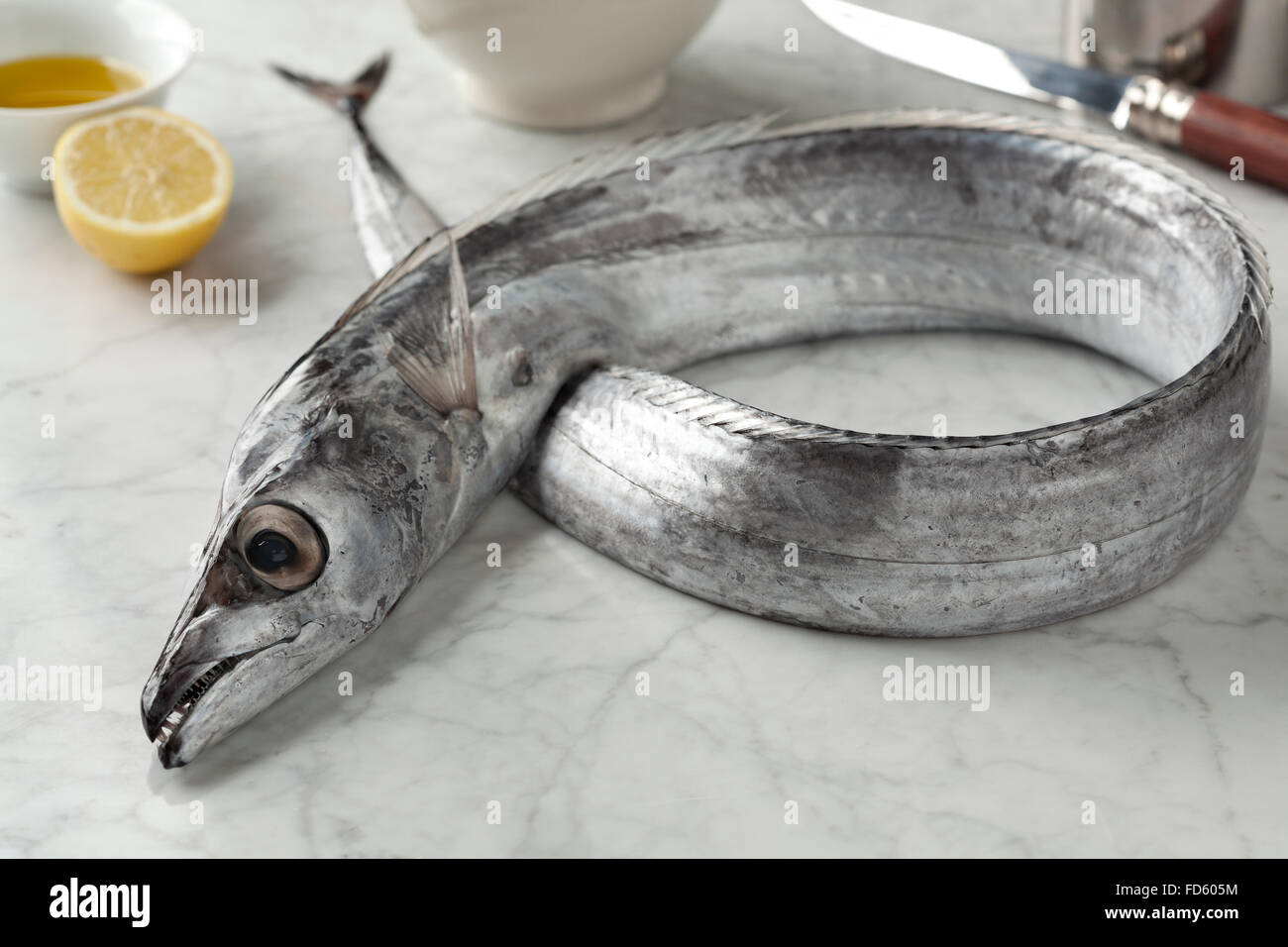 Beltfish hi-res stock photography and images - Alamy