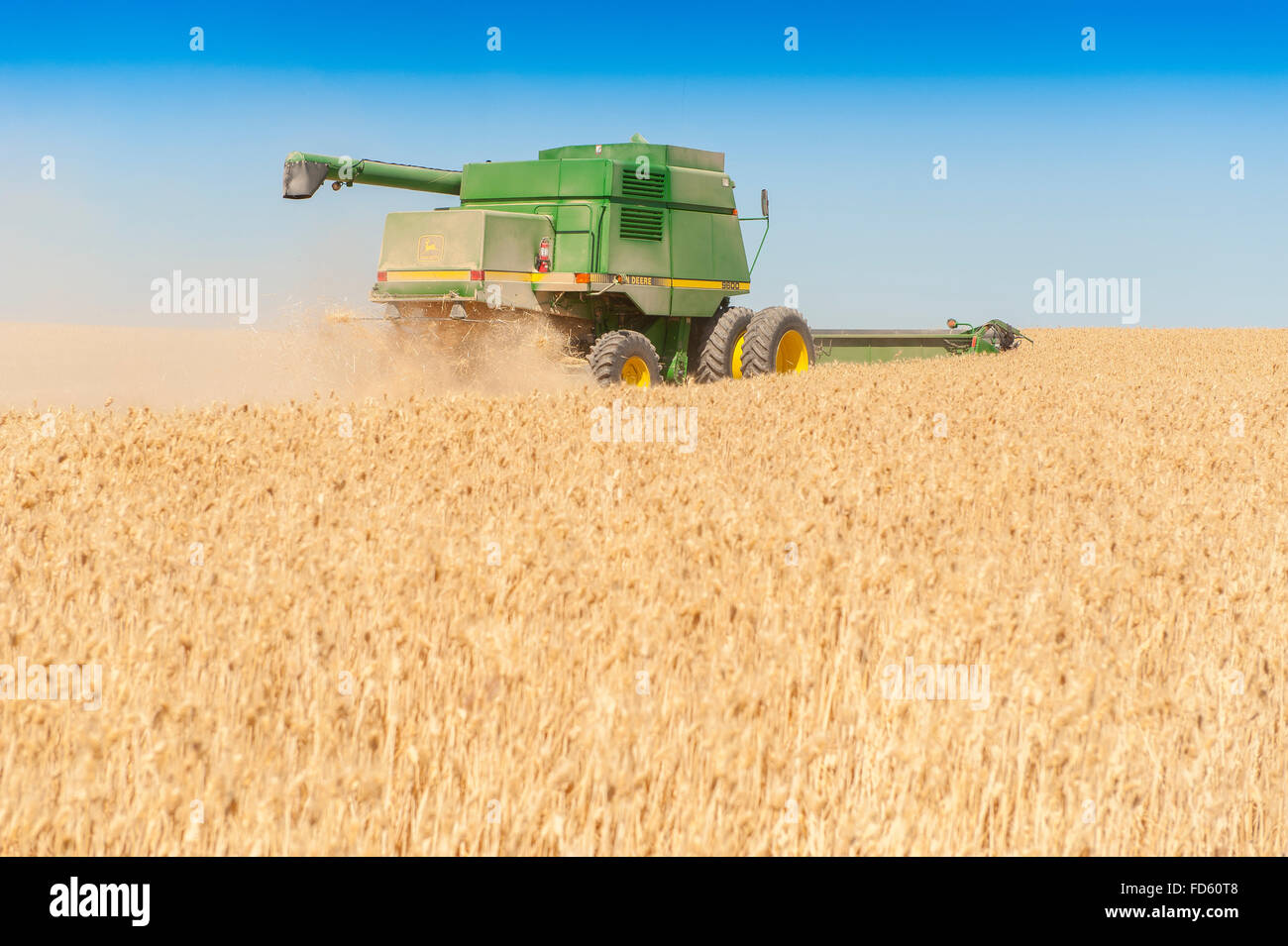 Harvester Combines Cut Summer Wheat Harvest in The Palouse in Eastern Washington Stock Photo