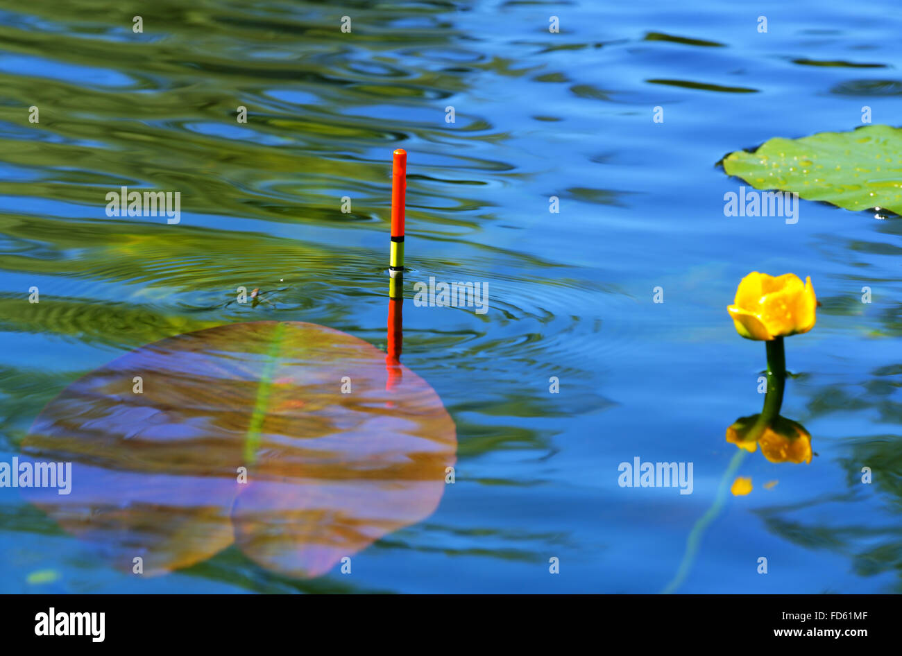 Fishing bobber floating in the lake water among lilies Stock Photo Alamy