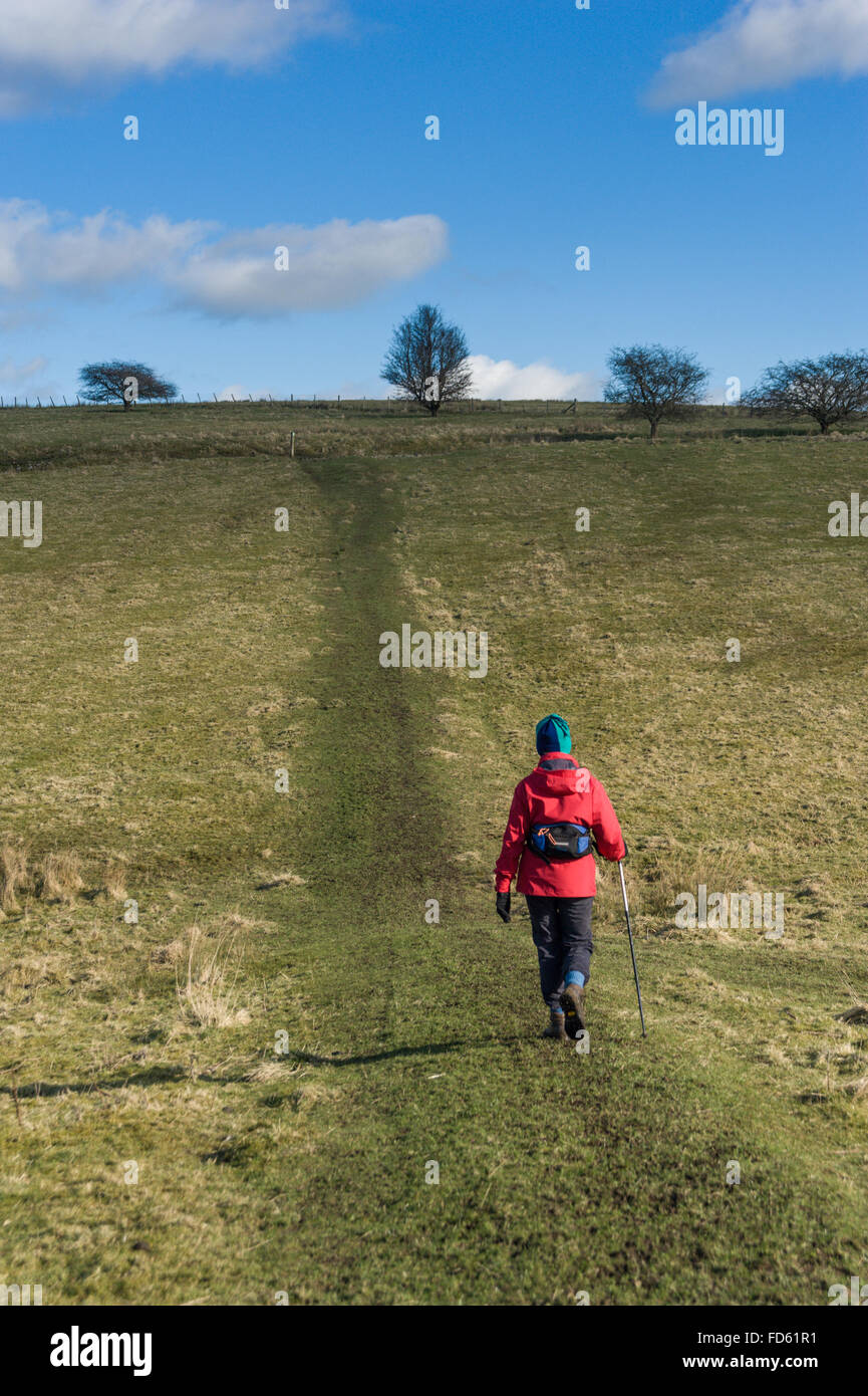 Walking the Stocks Reservoir Circular Walk near Slaidburn Lancashire