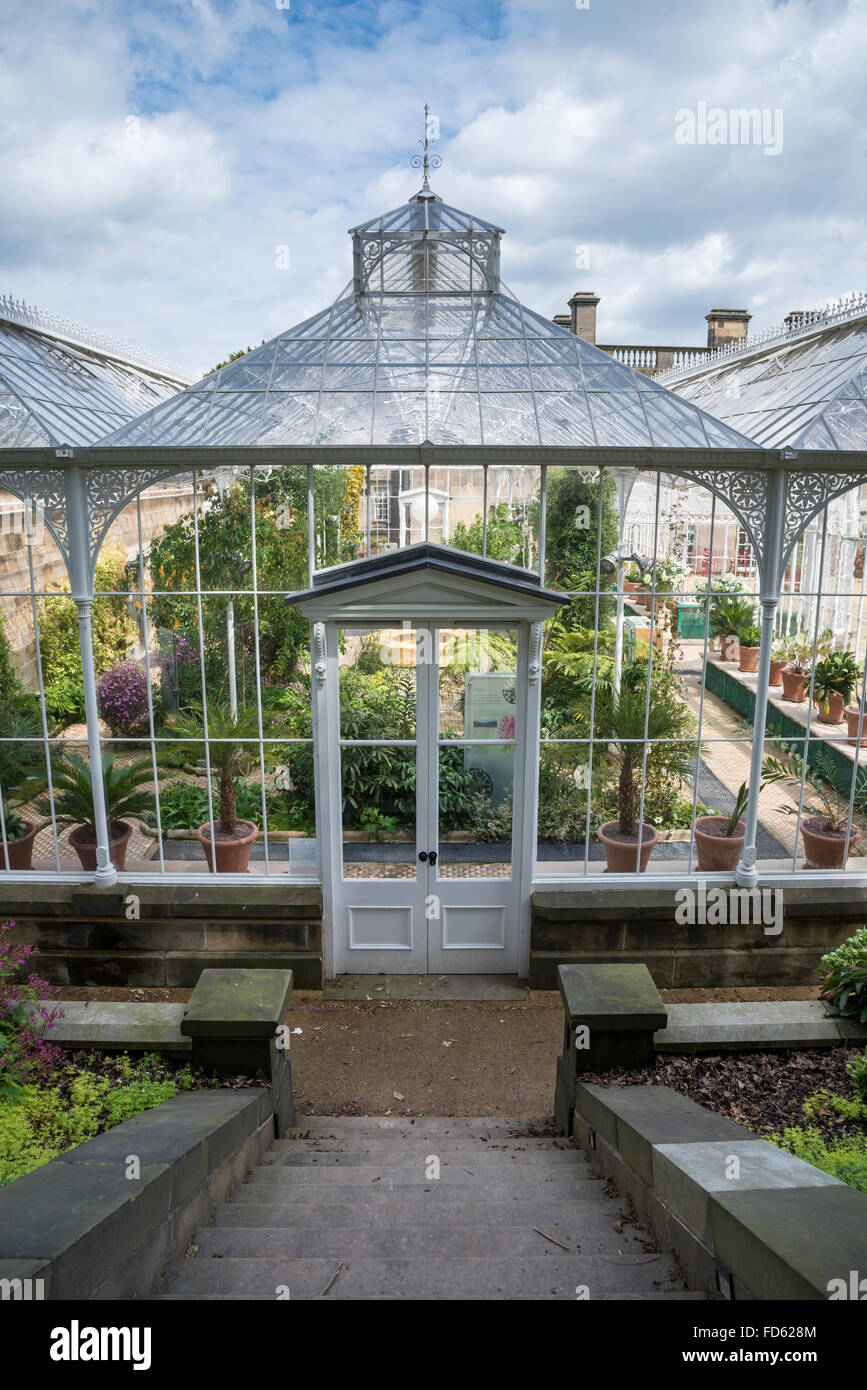 Newly restored conservatory at Wentworth Castle near Barnsley ...