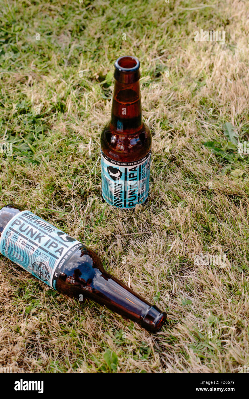 brewdog punk ipa scottish craft beer on some grass Stock Photo