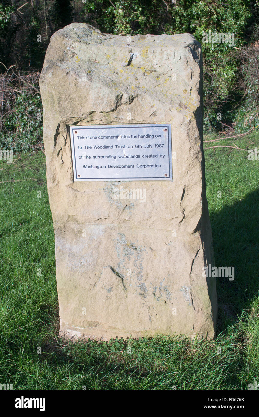 A commemorative stone relating to the handover of woodlands from Washington Development Corporation to the Woodland Trust, UK Stock Photo