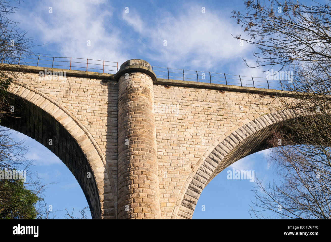 A view of one of the piers of the Victoria Bridge or railway viaduct over the river Wear in Washington, north east England UK Stock Photo
