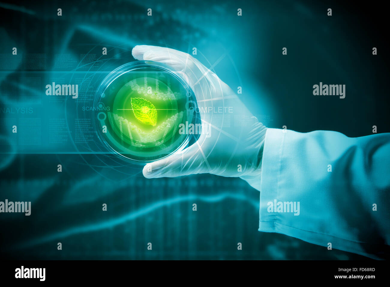 Close up image of human hand holding test tube. Science concept Stock ...