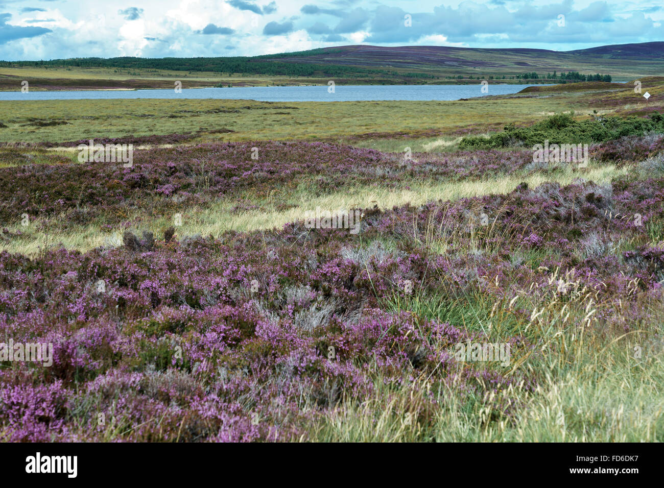 Countryside at Lochindorb Stock Photo Alamy