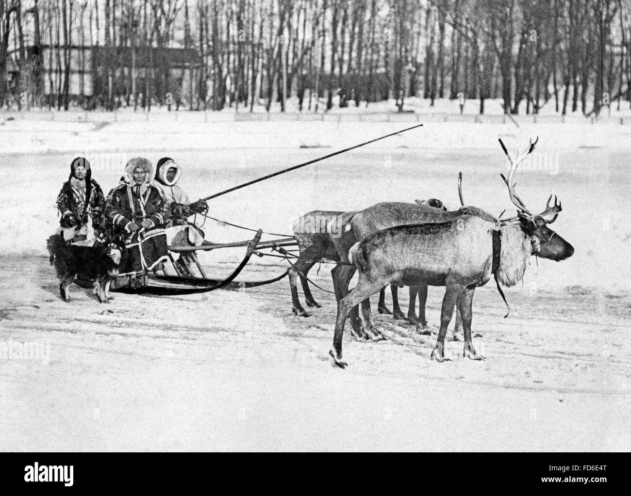 Samoyedic people with reindeer sleigh, 1924 Stock Photo