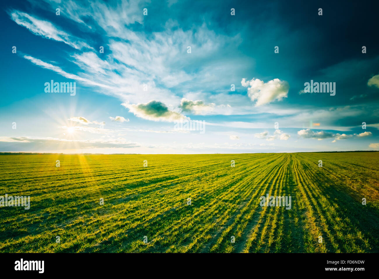 Agricultural background hi-res stock photography and images - Alamy