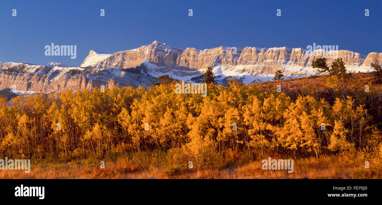 fall colors below walling reef along the the rocky mountain front near dupuyer, montana Stock Photo