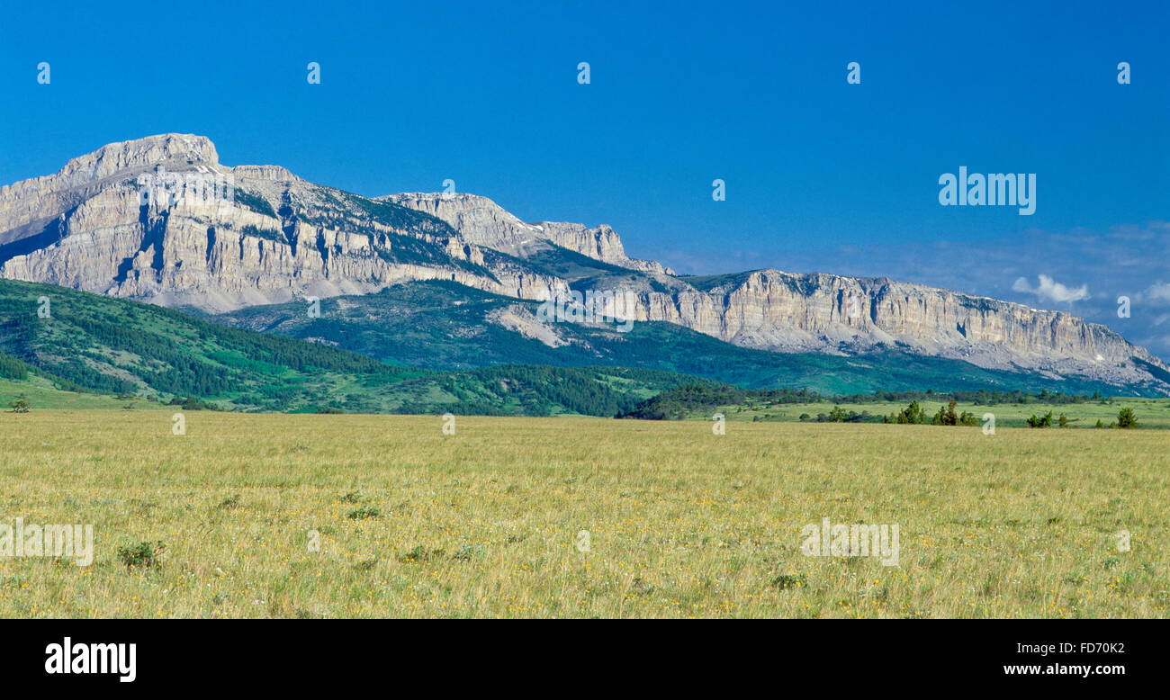 panorama of walling reef along the rocky mountain front above the