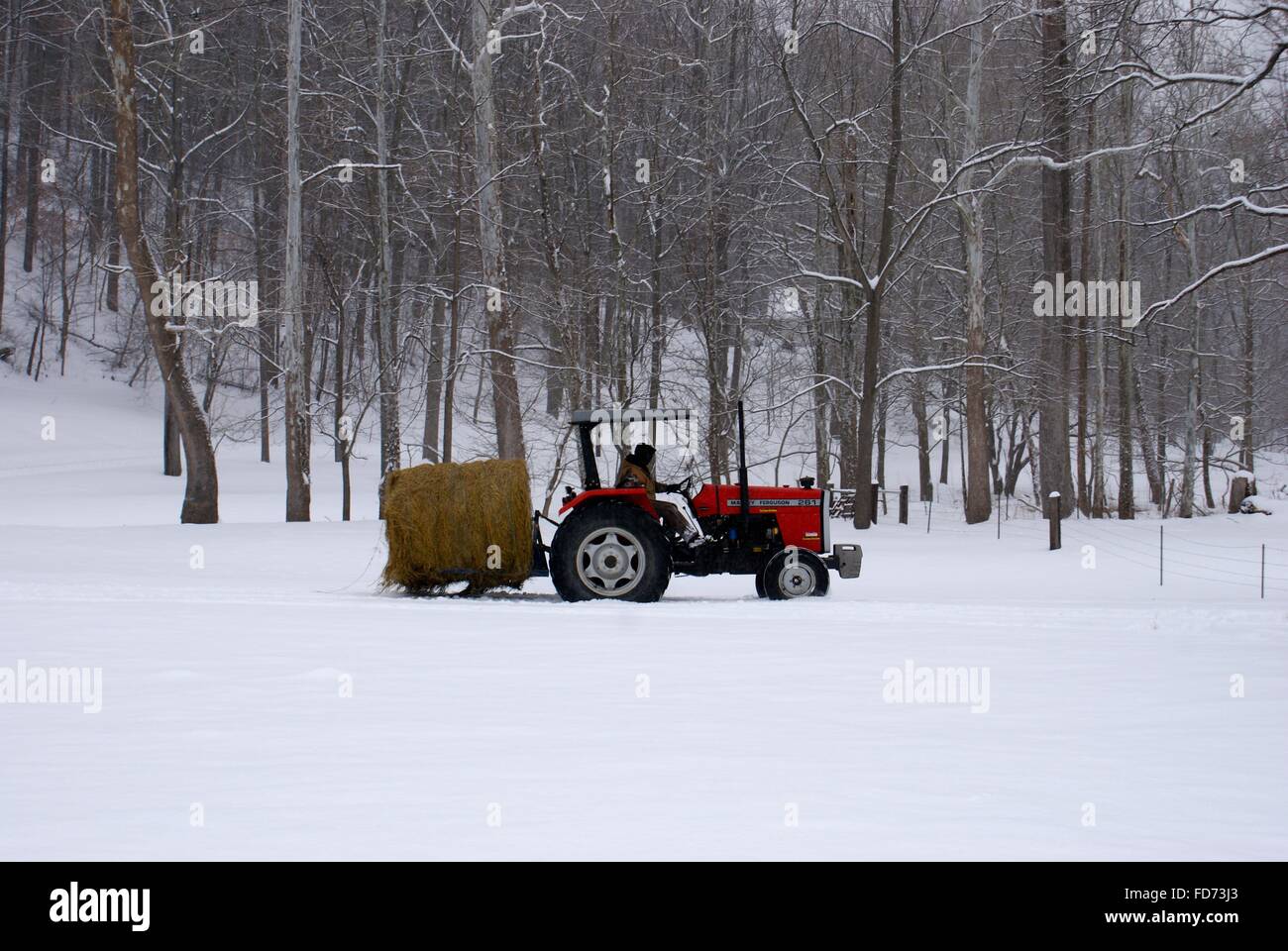 A red tractor hauling a big roll of hay across a snowy field in Indiana