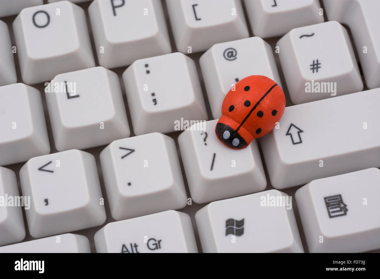 Ladybird / ladybug on PC keyboard - as a visual metaphor for the concept of 'computer bug' or viral / system 'infection'. Stock Photo